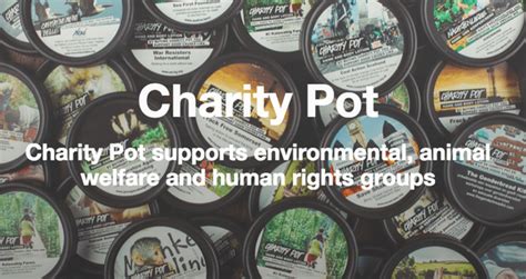 charity pot|Charity Pot Funding Guidelines .